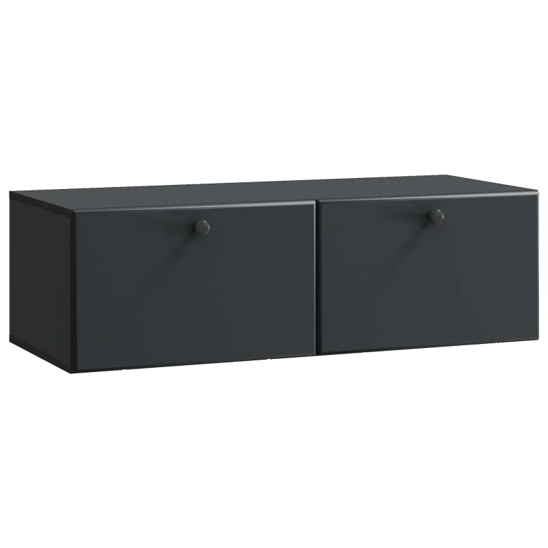 Sieninė TV spintelė 98 x 41 x 30 cm Juoda Apdirbta mediena