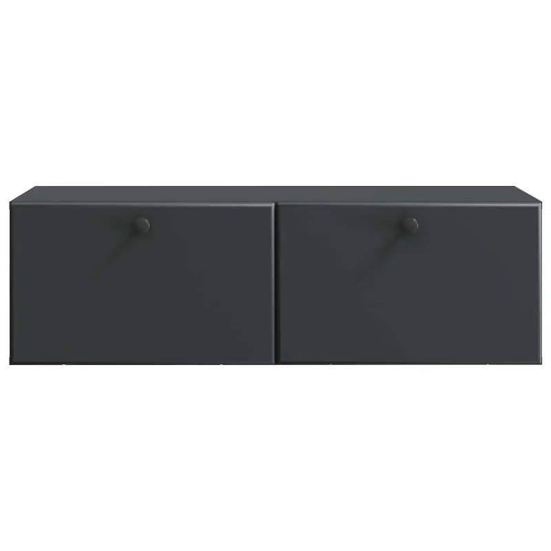 Sieninė TV spintelė 98 x 41 x 30 cm Juoda Apdirbta mediena