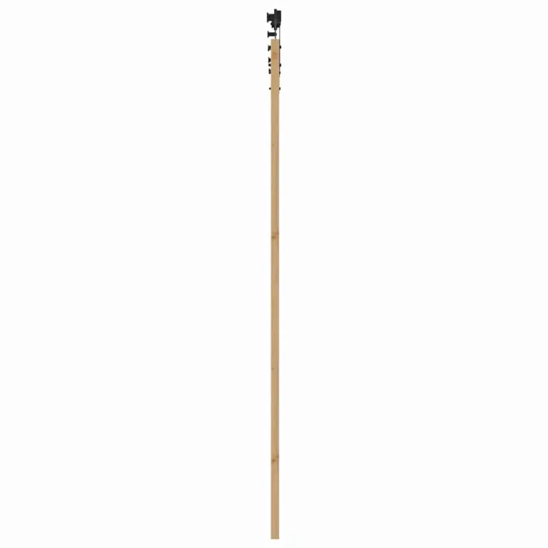 Slankios durys Natūrali 93 x 232 cm