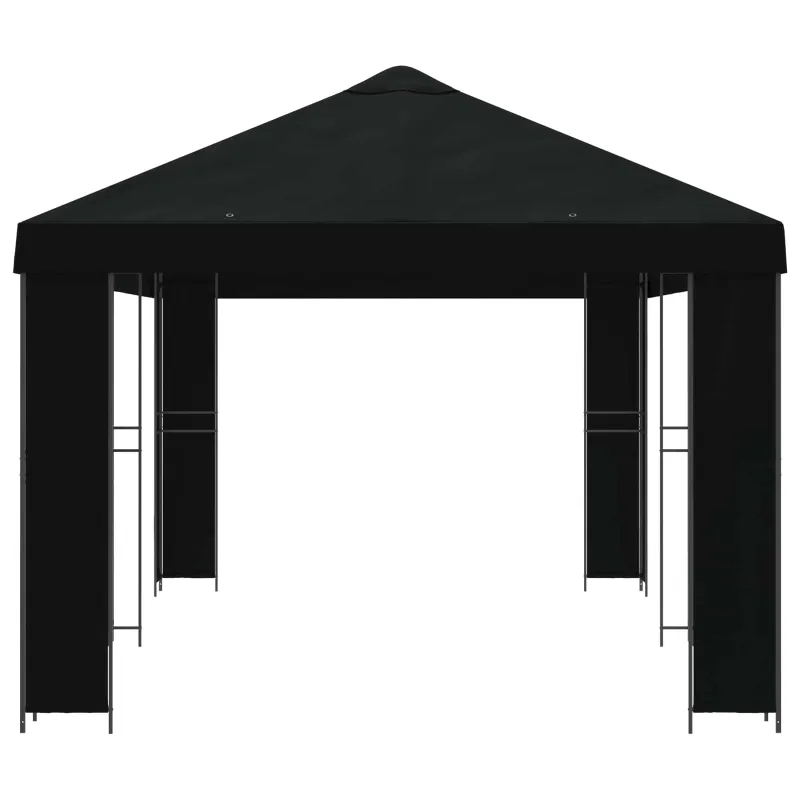 Sodo Paviljonas 6 x 3 m Juoda Poliesteris ir plienas 190