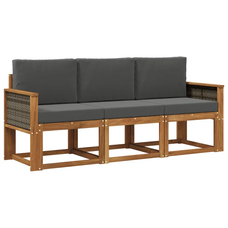 Lauko sofos komplektas su pagalve 3 pcs Natūralus ir antracitas