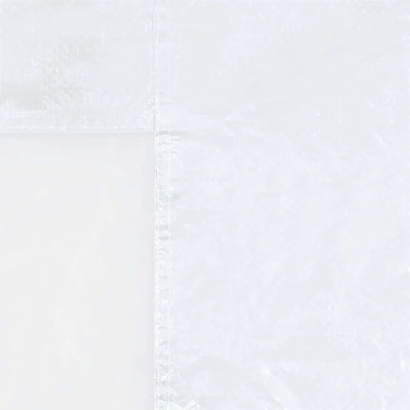Šventinės palapinės šoninė siena 2 pcs 200 x 195 cm Balta