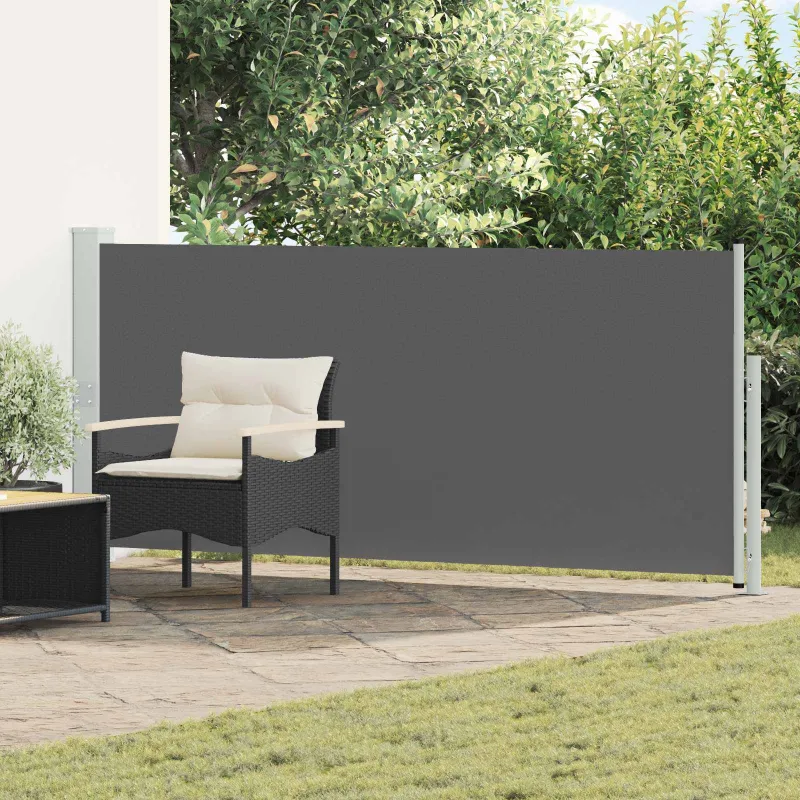 Ištraukiama šoninė užuolaida Antracito 300 x 170 cm Poliesteris