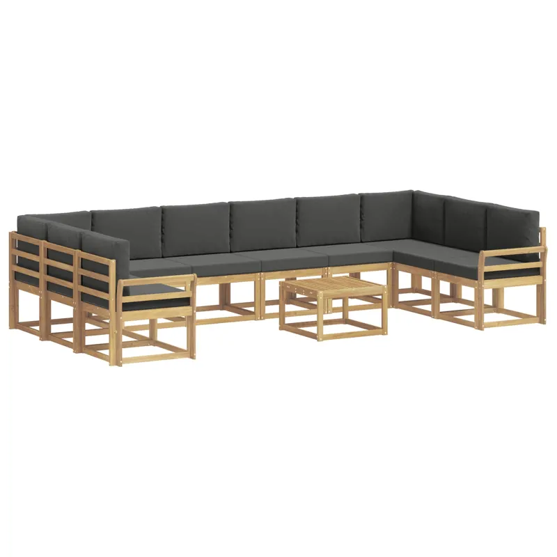 Lauko sofos komplektas su pagalve 11 pcs Balta ir antracito