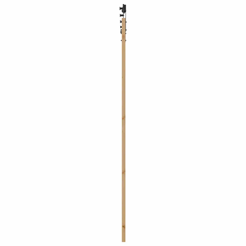 Slankios durys Natūrali 83 x 232 cm Pušies medienos masyvas