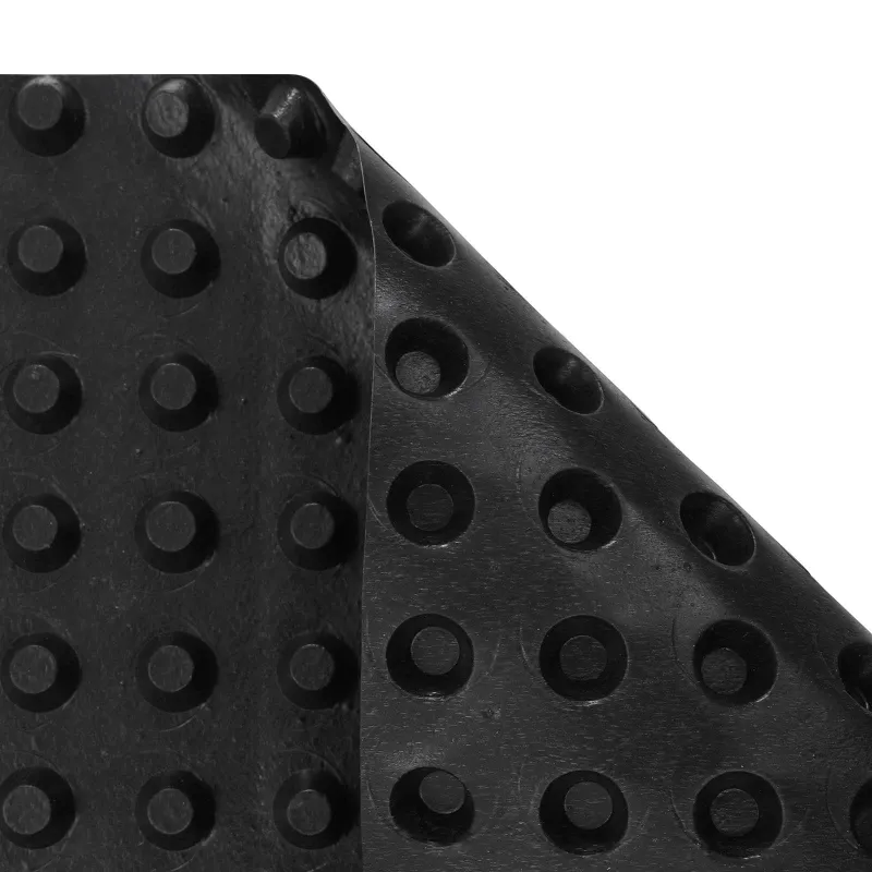 Banguota drenažo plokštė 2 pcs Juoda 0,5 x 20 m HDPE