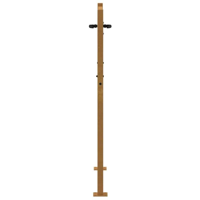 Sodo vartai, 100x125 cm, Corten plienas