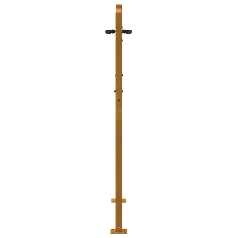 Sodo vartai, 100x150 cm, Corten plienas, medžio raštas