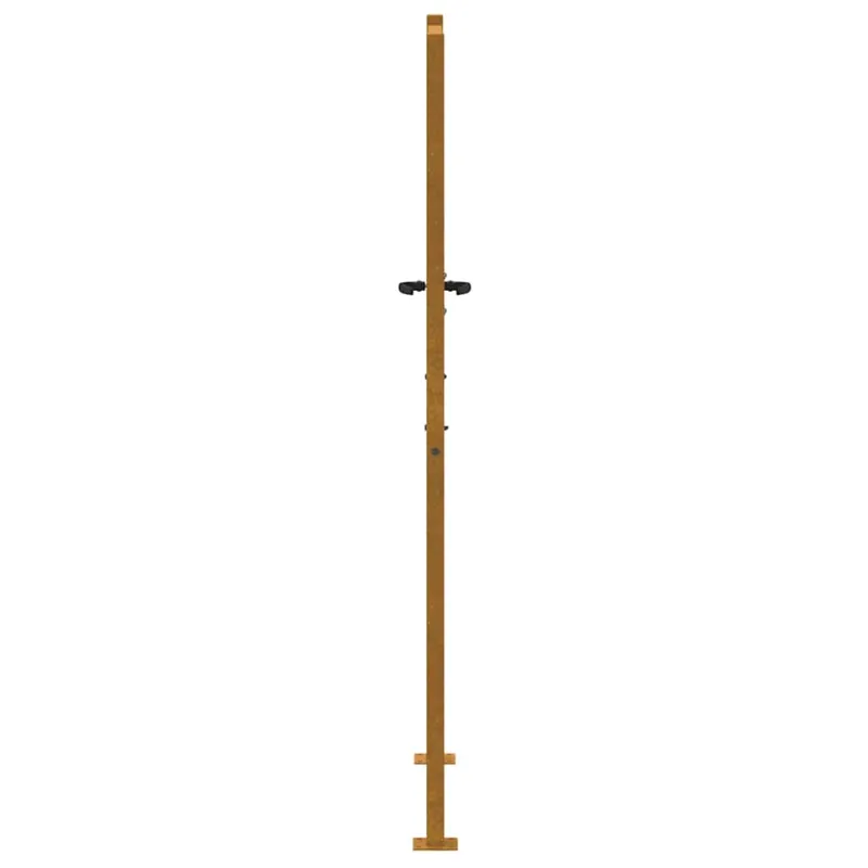 Sodo vartai, 100x175 cm, Corten plienas, medžio raštas