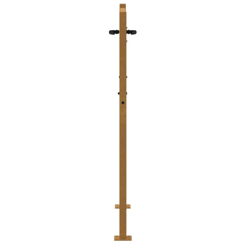 Sodo vartai, 100x150 cm, Corten plienas, žolės raštas