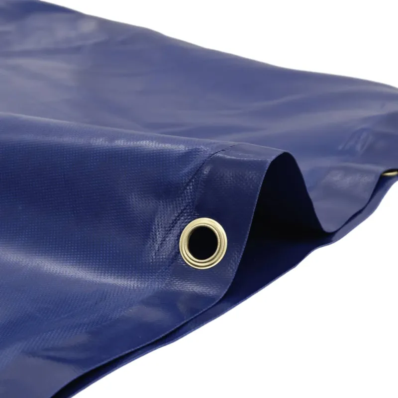 Tentas, mėlynos spalvos, 2,5x4,5m, 650g/m²