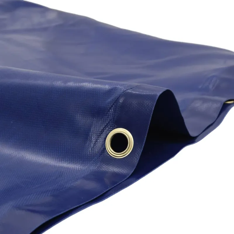 Tentas, mėlynos spalvos, 5x8m, 650g/m²