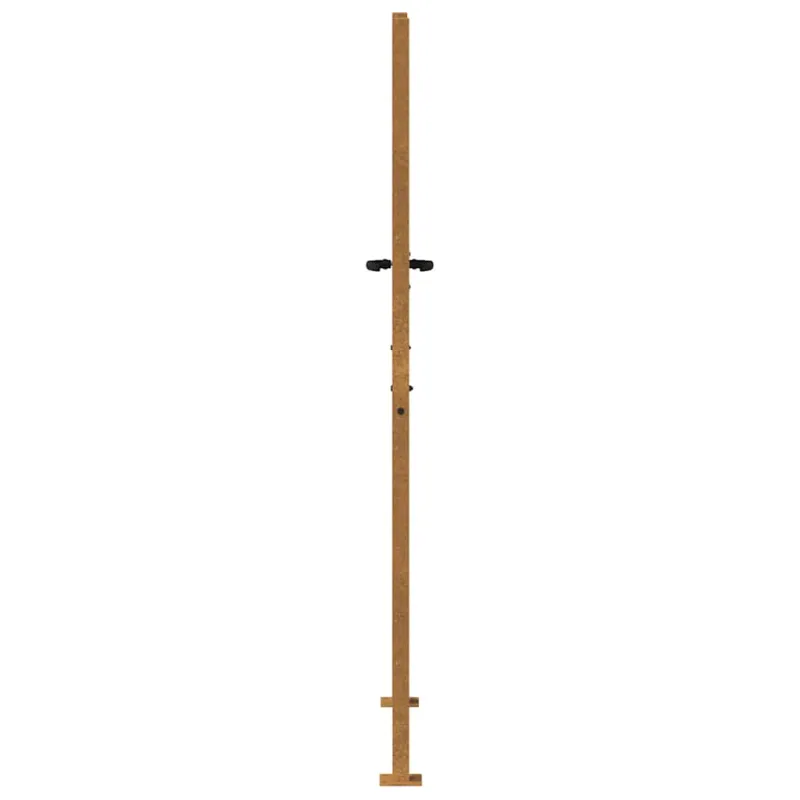 Sodo vartai, 100x175 cm, Corten plienas