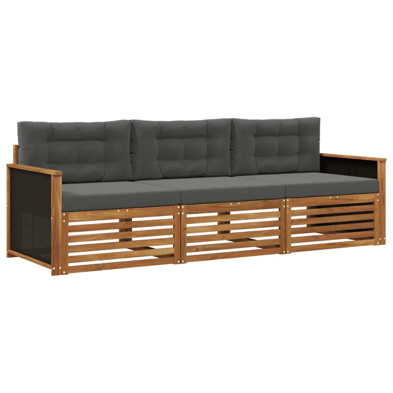 Lauko sofos komplektas 3 pcs Natūralus ir antracitas