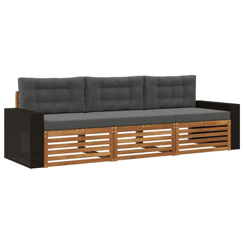 Lauko sofos komplektas su pagalve 3 pcs Natūralus ir antracitas