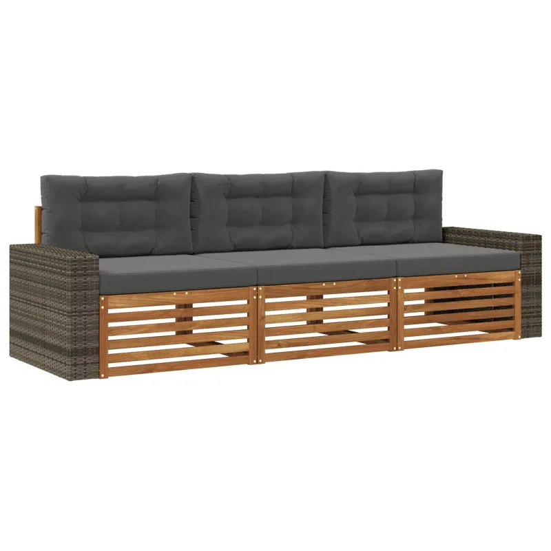 Lauko sofos komplektas su pagalve 3 pcs Natūralus ir antracitas
