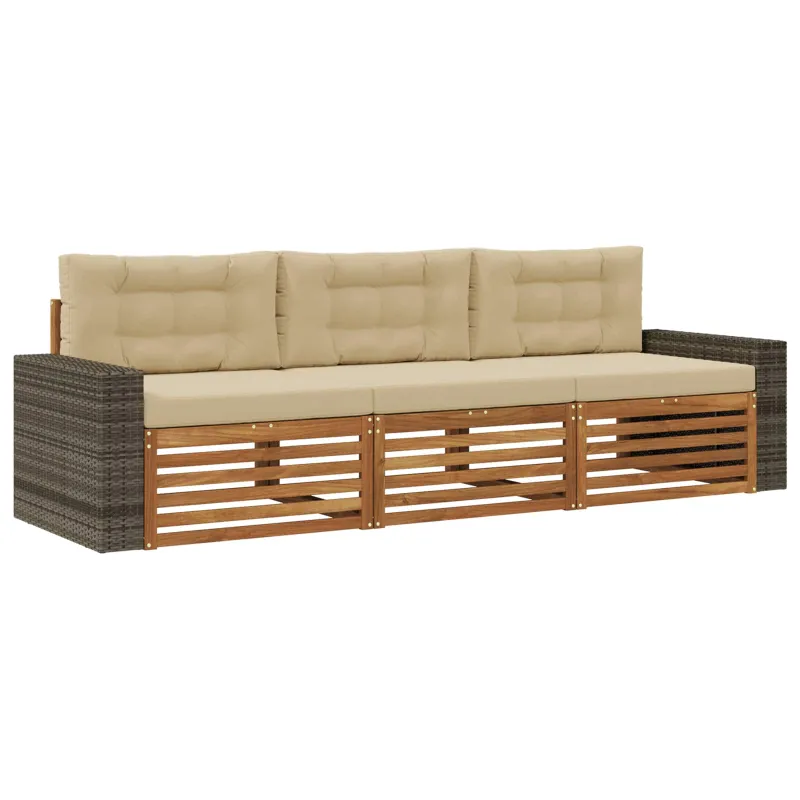 Lauko sofos komplektas 3 pcs Natūralus ir bežinis Poliesteris