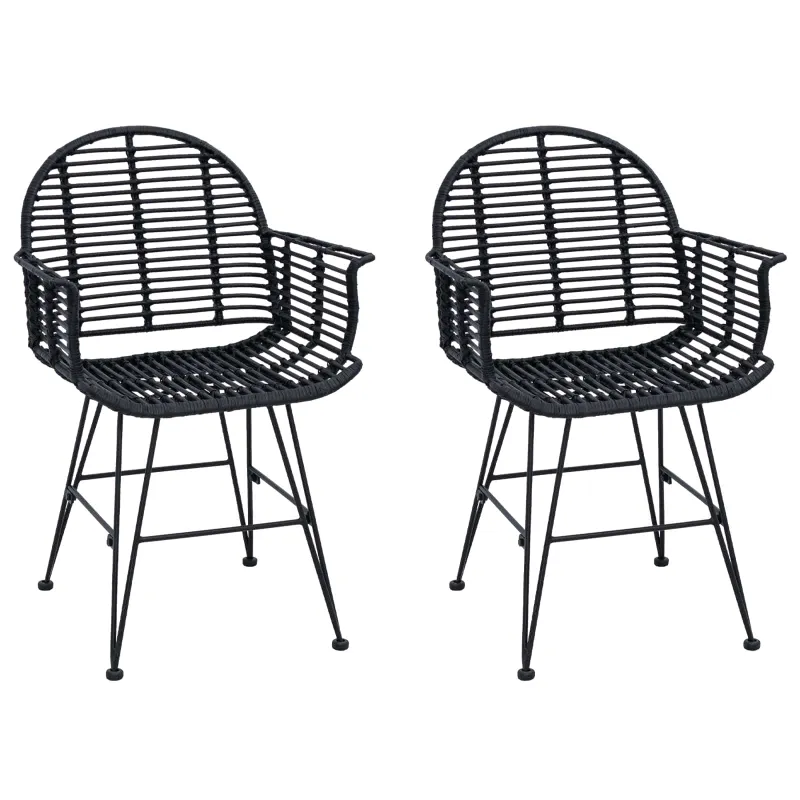 Valgomasis krėslas 2 pcs Ratanas ir Geležis Juoda