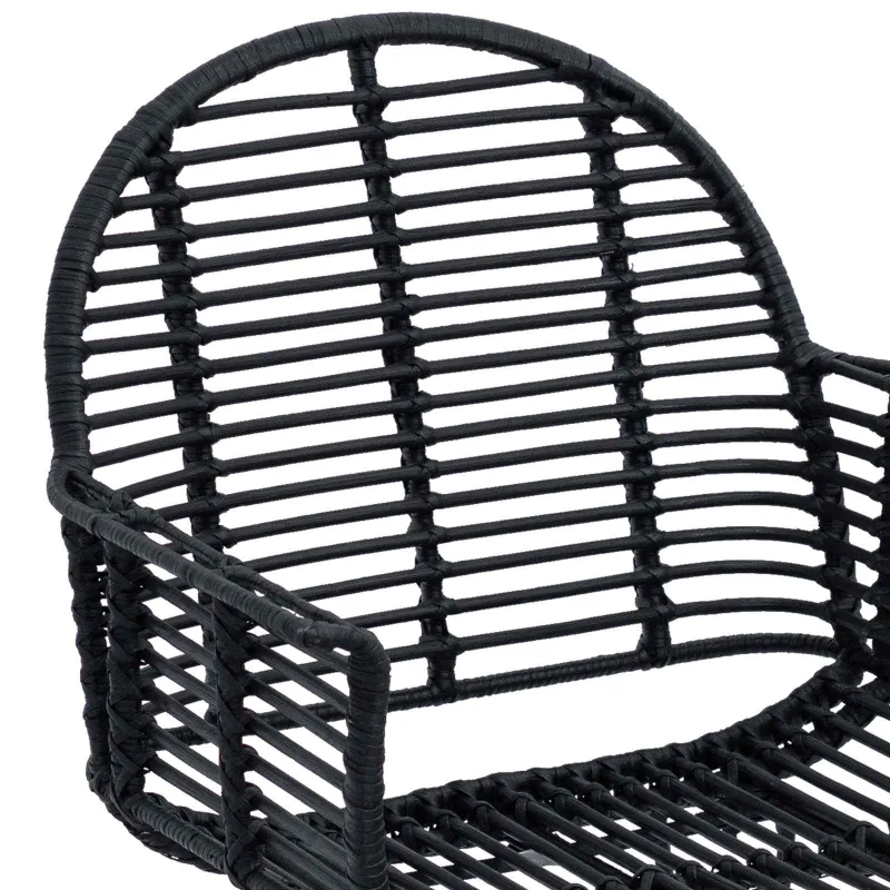 Valgomasis krėslas 2 pcs Ratanas ir Geležis Juoda