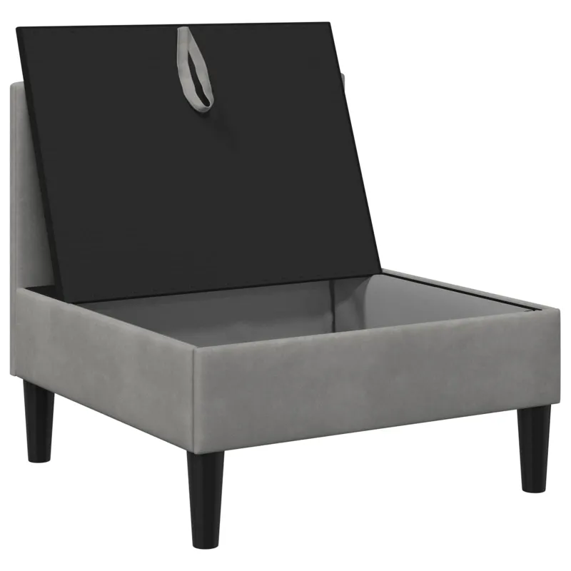 Vidurinė sofa su saugykla Šviesiai pilka Aksomas
