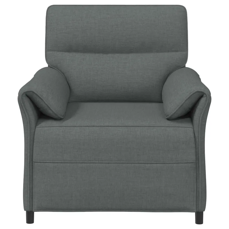 Sofa 100% poliesteris metalinis rėmas MDF, fanera