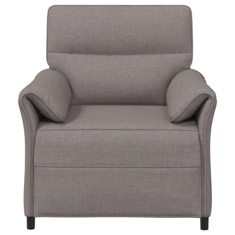 Sofa 100% poliesteris metalinis rėmas MDF, fanera