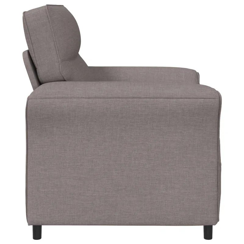 Sofa 100% poliesteris metalinis rėmas MDF, fanera