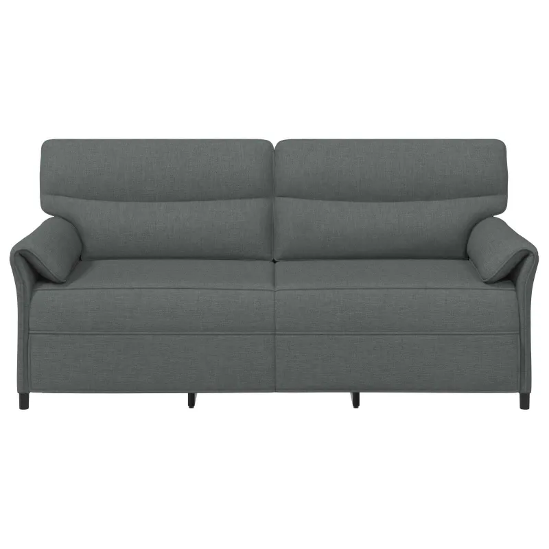 Sofa 100% poliesteris metalinis rėmas MDF, fanera