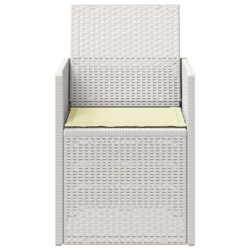 Sodo Valgomojo Kėdės 2 pcs Balta ir kreminė PP