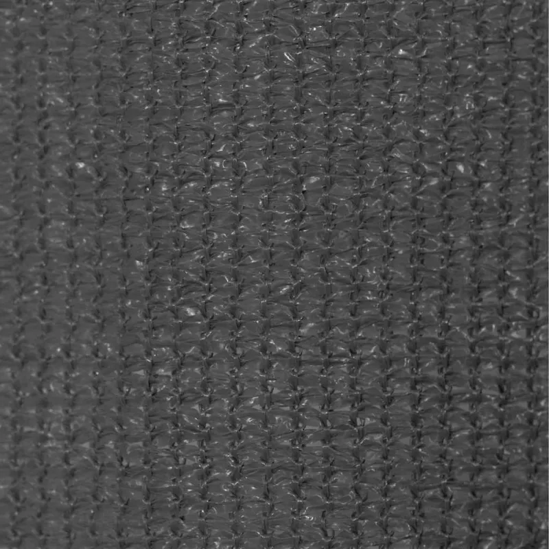 Lauko roletas, antracito spalvos, 80x230cm