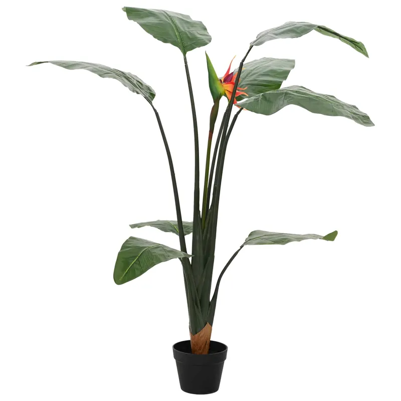 Dirbtinis Strelitzia Augalas Žalia 70 x 18 x 155 cm