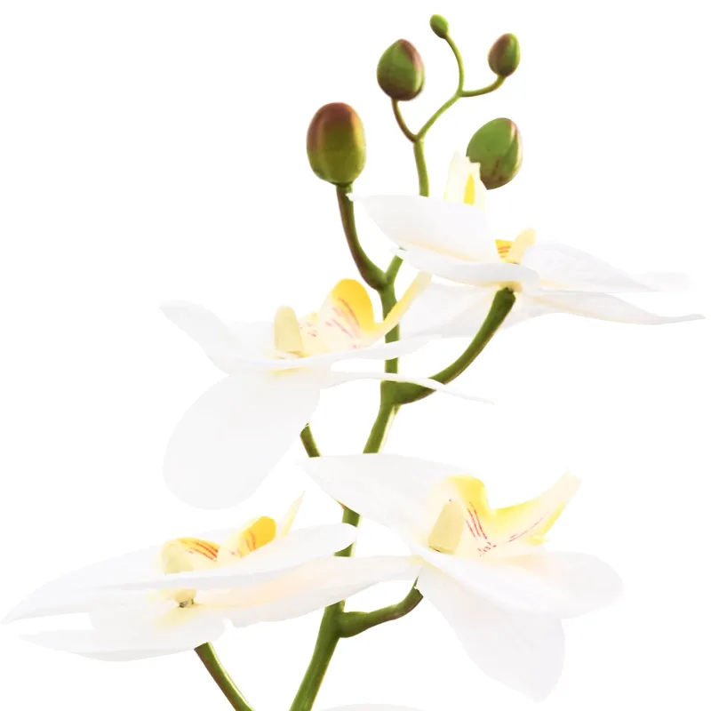 Dirbtinė orchidėja su vazonu Balta 45 x 15 x 65 cm