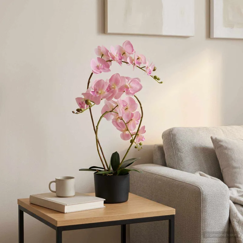 Dirbtinė orchidėja su vazonu Rožinė 45 x 15 x 65 cm