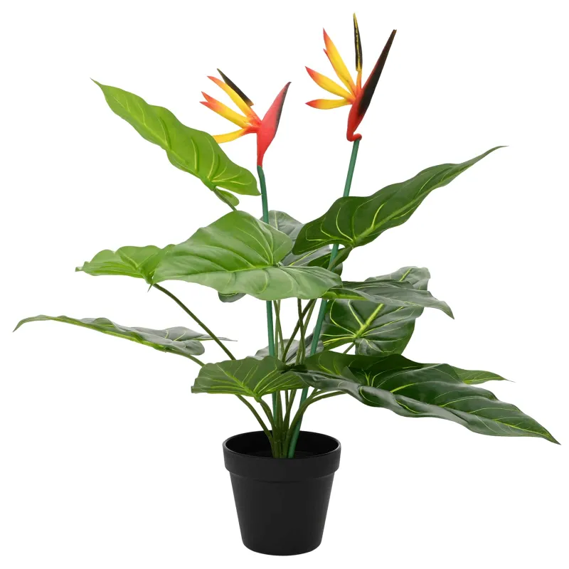 Dirbtinis Strelitzia Augalas Žalia 65 x 13 x 55 cm