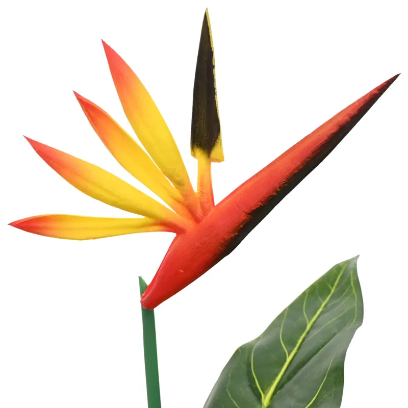 Dirbtinis Strelitzia Augalas Žalia 65 x 13 x 55 cm