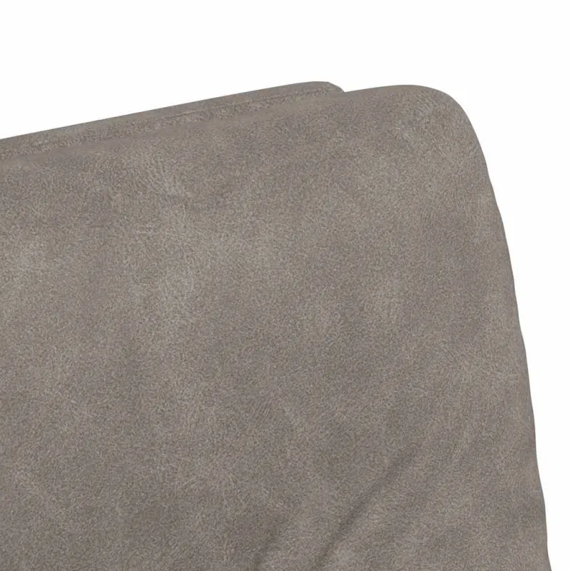 Valgomojo Kėdės su Ratukais 2 pcs Pilka 57 x 67 x 95 cm