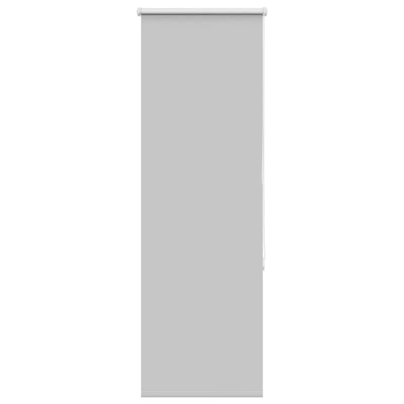 roletas smėlio šviesiai pilka 55x175 cm audinio plotis 50,7 cm