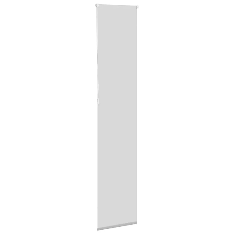 roletas smėlio šviesiai pilka 55x230 cm audinio plotis 50,7 cm