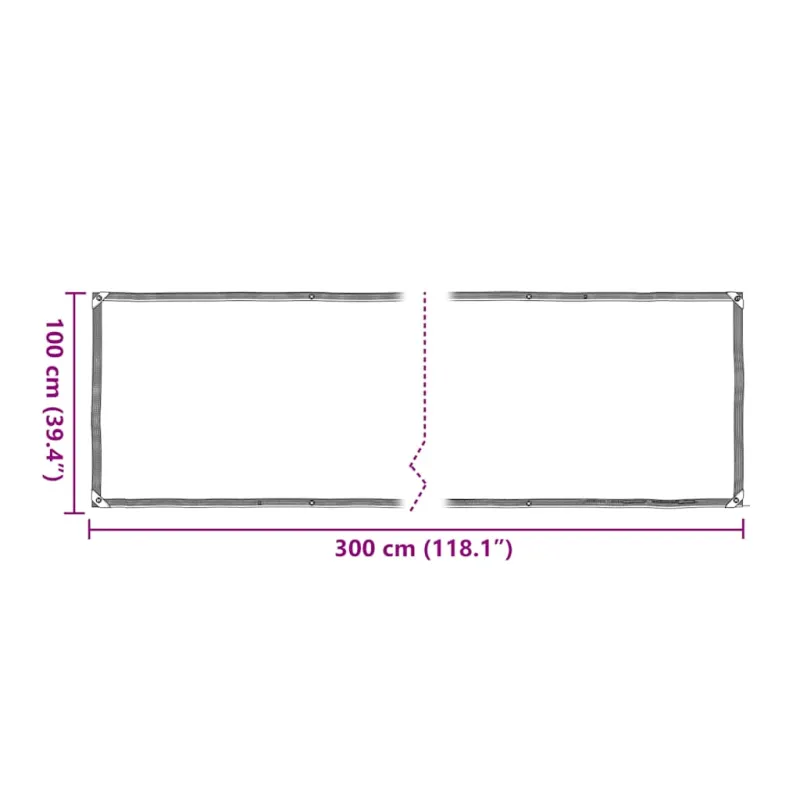 Skaidrus brezentas su kilpelėmis, 1x3 m, polietilenas