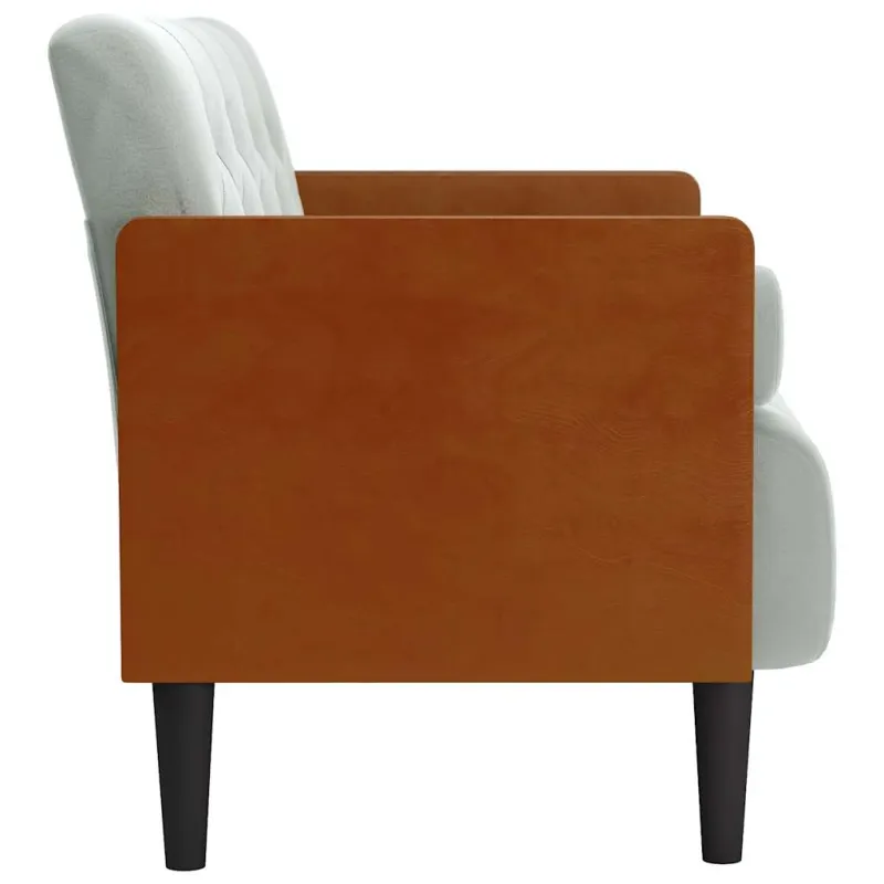 Dvivietė sofa su pagalvėlėmis, šviesiai pilka, 110 cm, aksomas