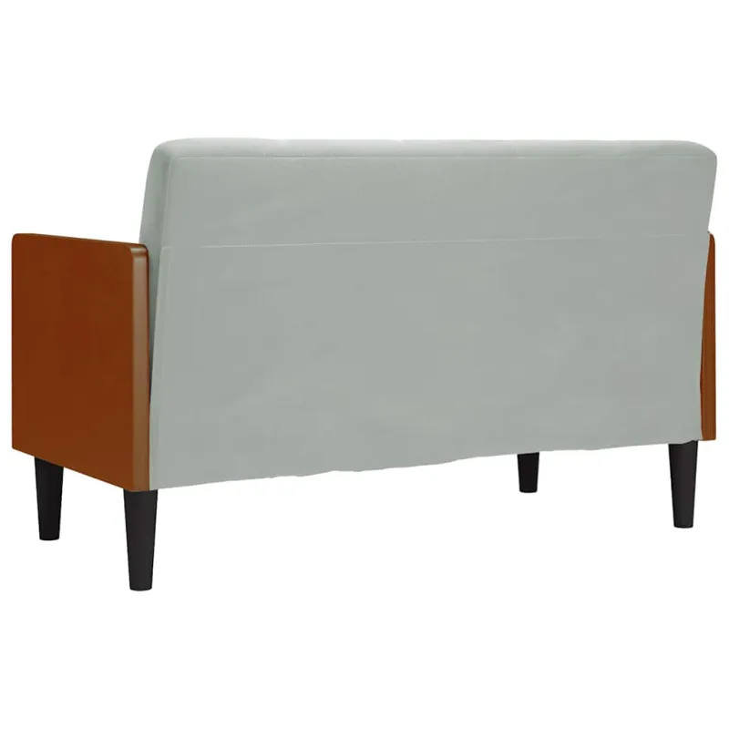 Dvivietė sofa su pagalvėlėmis, šviesiai pilka, 110 cm, aksomas