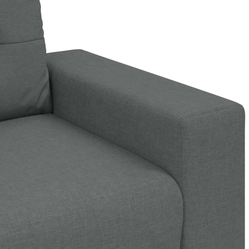 Dvivietė sofa, tamsiai pilka, 160x77x82 cm, audinys
