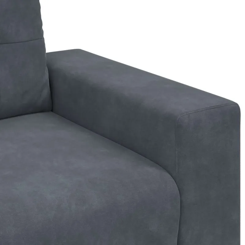 Dvivietė sofa, tamsiai pilka, 160x77x82 cm, aksomas