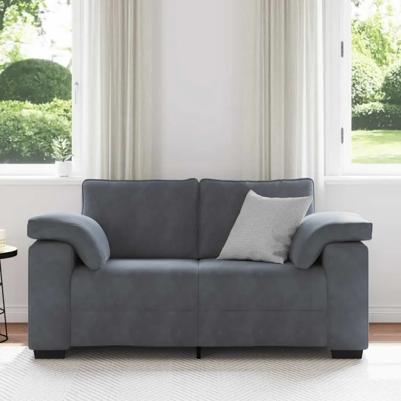 Dvivietė sofa, tamsiai pilka, 160x77x82 cm, aksomas