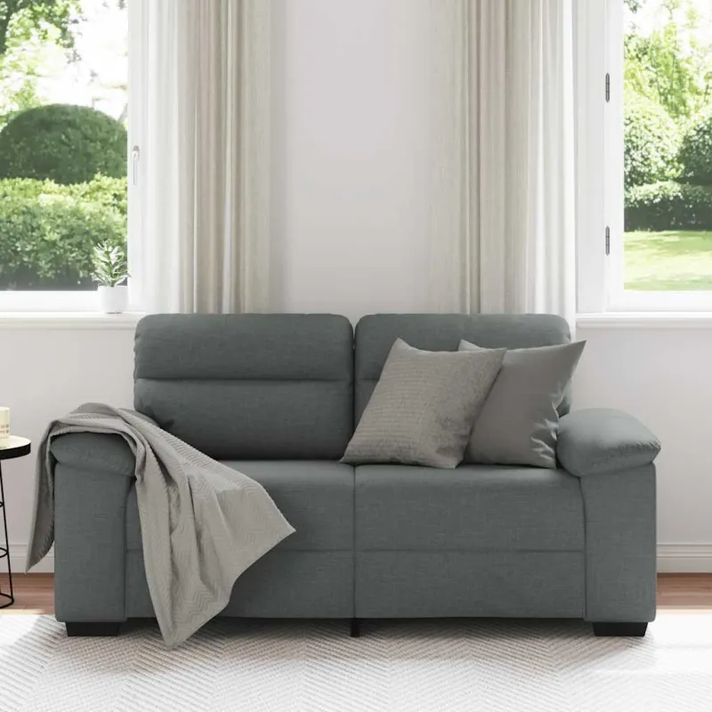 Dvivietė sofa, tamsiai pilka, 160x81x84 cm, audinys