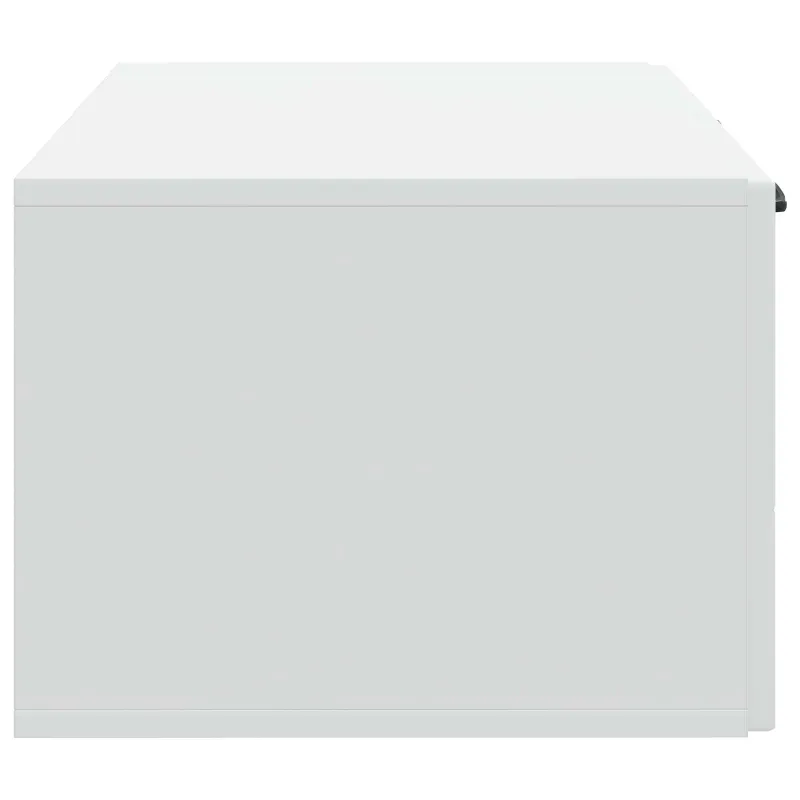 Sieninė TV spintelė Balta 59,5 x 41 x 30 cm Apdirbta mediena