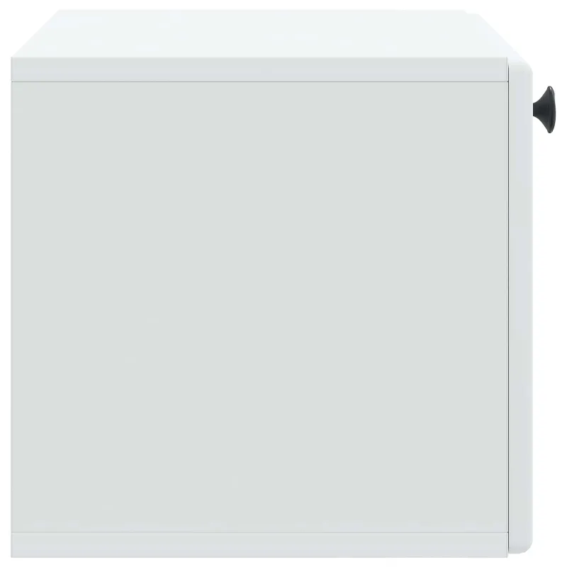 Sieninė TV spintelė 59,5 x 31 x 30 cm Balta Apdirbta mediena