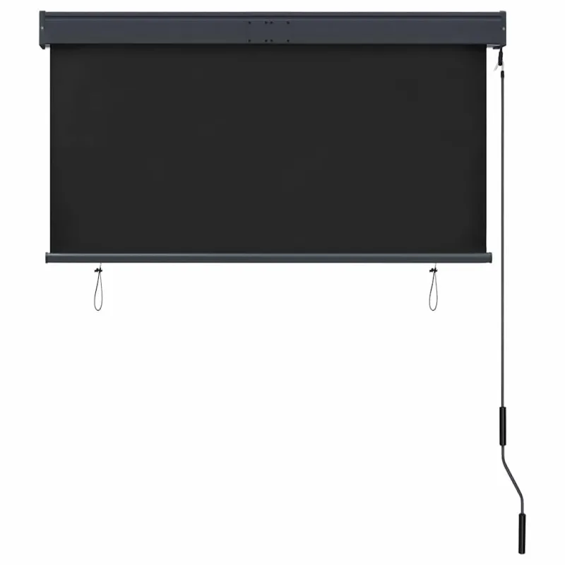 Lauko roletas, antracito spalvos, 120x250cm