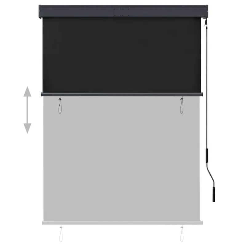 Lauko roletas, antracito spalvos, 120x250cm