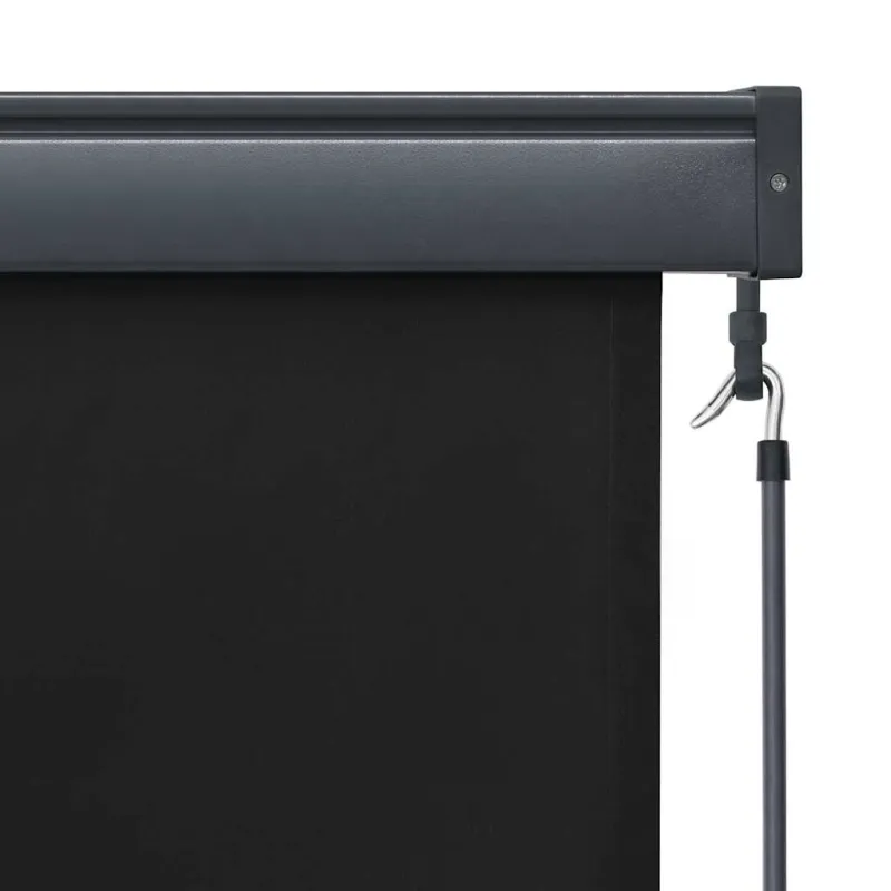 Lauko roletas, antracito spalvos, 120x250cm